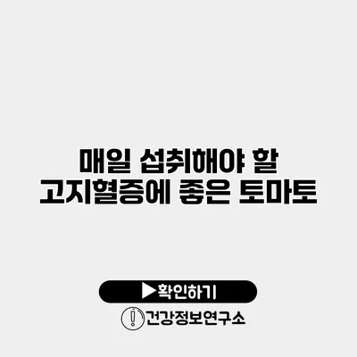 매일 섭취해야 할 고지혈증에 좋은 토마토