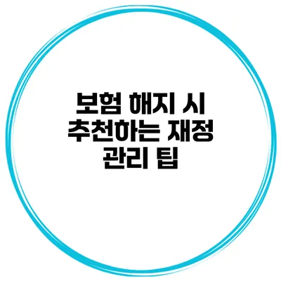 보험 해지 시 추천하는 재정 관리 팁