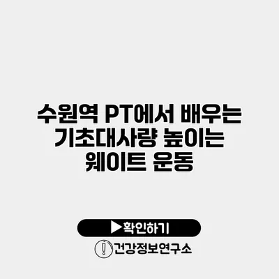 수원역 PT에서 배우는 기초대사량 높이는 웨이트 운동