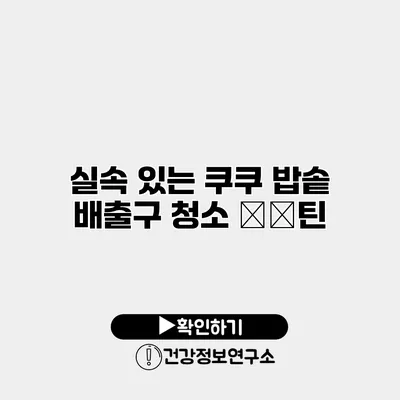 실속 있는 쿠쿠 밥솥 배출구 청소 Ру틴