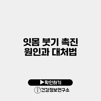 잇몸 붓기 촉진 원인과 대처법