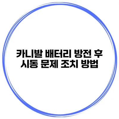 카니발 배터리 방전 후 시동 문제 조치 방법