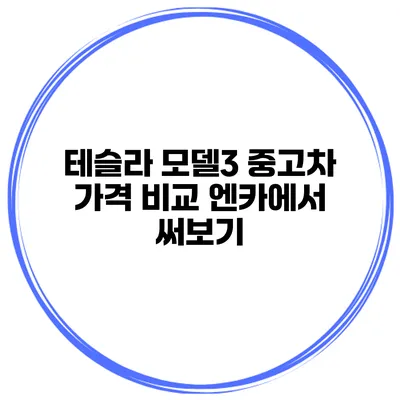 테슬라 모델3 중고차 가격 비교 엔카에서 써보기
