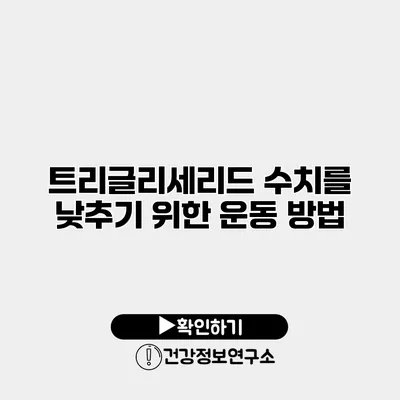 트리글리세리드 수치를 낮추기 위한 운동 방법