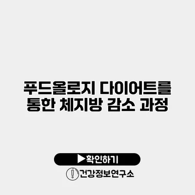 푸드올로지 다이어트를 통한 체지방 감소 과정