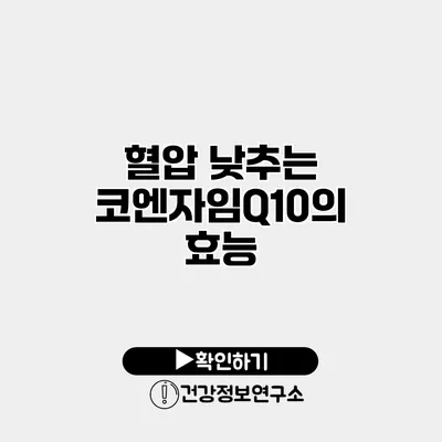 혈압 낮추는 코엔자임Q10의 효능